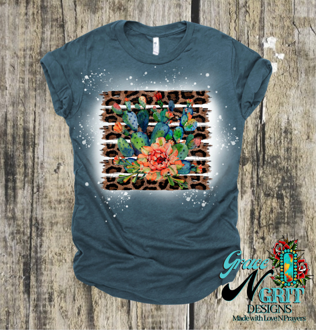 Leopard Cactus