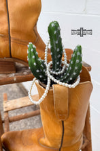 Load image into Gallery viewer, Pearly Rodeo Bracelet
