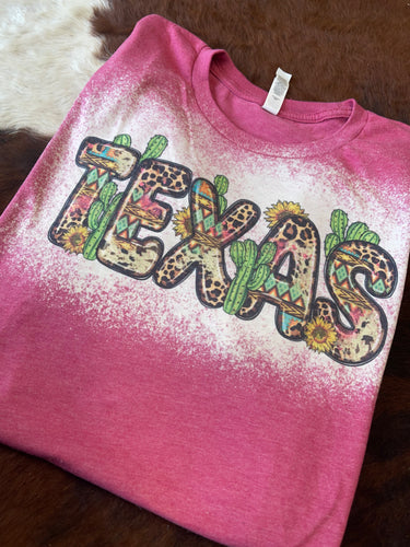 Cacti Texas